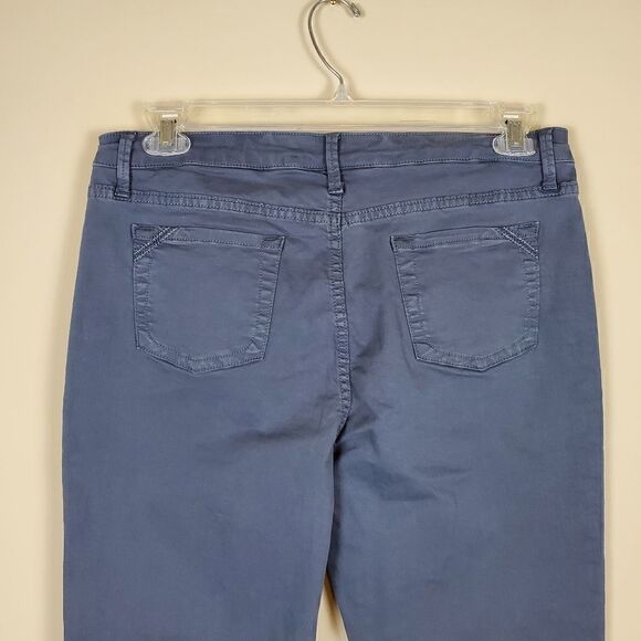 Soft Surroundings Blue Skinny Pants - Picture 7 of 9